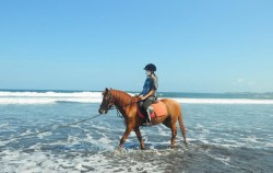 Tangtu Beach Horse Riding, Tangtu Beach Horse Riding