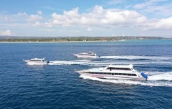 Tanis Fast Cruises image, Tanis Fast Cruise, Lembongan Fast boats