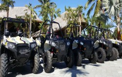 Jungle Buggies Packages by Mason Adventures, The buggies stock