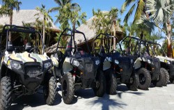 The buggies stock image, Jungle Buggies Packages by Mason Adventures, Fun Adventures