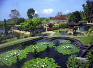 Rice Terrace