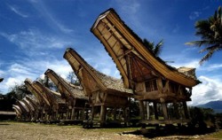 TORAJA CULTURE AND NATURE TOUR 4 Days / 3 Nights, Tongkonan House