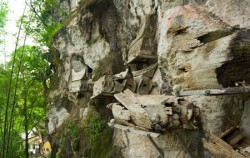 Toraja Hanging Graves