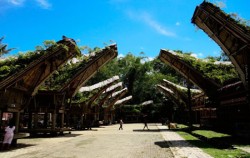 Toraja Village,Toraja Adventure,TORAJA CULTURE AND NATURE TOUR INCL. MAKASSAR 4 Days / 3 Nights