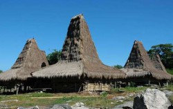 Sumba  Traditional  Tour 4N 5D, Tosi Village