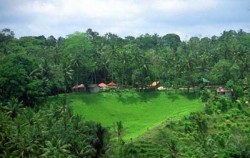 Ubud Village and Tegalalang Tour, Ubud Village