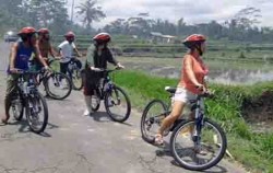 Bike Baik Tour,Bali Cycling,Bali Bike Baik Tour