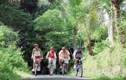 Cycling Bali