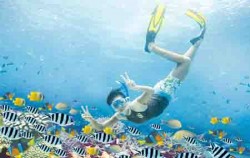 Marine Walk Adventure,Lembongan Package,Bali Marine Walk