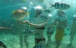Bali Marine Walk, Bali Submarine, Walk under the sea
