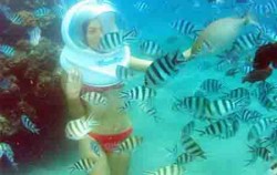 Playing with fishes image, Bali Ocean Walker, Benoa Marine Sport