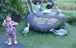 Bebek Tepi Sawah, Bali Restaurants, Icon Bebek Tepi Sawah