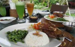 Bebek Tepi Sawah, Bebek Goreng Krispi