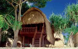 cruise and Hai Tide Huts,Lembongan Package,Hai Tide Huts Overnight Package