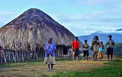 House Wamena image, Jayapura-Wamena-Kurima Tour 6 Days and 5 Nights, Papua Adventure