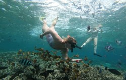 West Trip with Snorkeling Tour by Lembongan Trip, Lembongan Package, Snorkeling