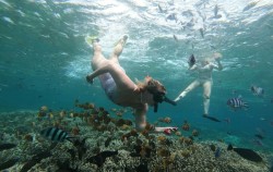 Snorkeling,Lembongan Package,West Trip with Snorkeling Tour by Lembongan Trip