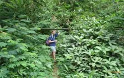 Adventure at Jungle Trip,Bali Trekking,Jungle Trip