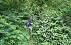 Adventure at Jungle Trip image, Jungle Trip, Bali Trekking