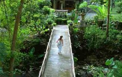 Jungle Trip, Bali Jungle Paradise