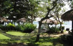 Hammock at Lembongan Island image, Lembongan Island Beach Club Cruise, Bali Cruise