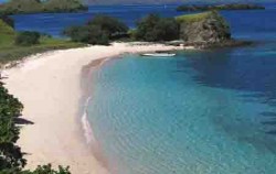 Sailing Komodo Adventure 3D2N Tours , Pink Beach Komodo Island