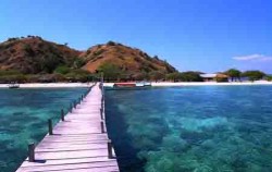 Dock Komodo Island,Komodo Adventure,Sailing Komodo Adventure 3D2N Tours 