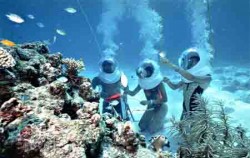 Sea Walker Adventure, Bali Submarine, Coral View