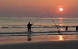 Special Shore Fishing by Ena, Sunset