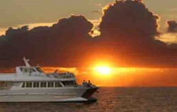 Sunset Dinner Cruise, Sunset Dinner Cruise