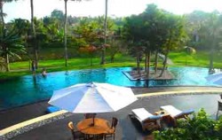 Ubud Village and Tegalalang Tour, Ubud Village Resort