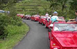 VW Bali Tour, VW Bali Tour, VW Tour