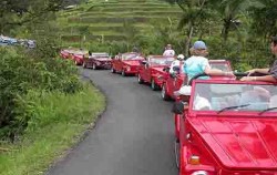 VW Bali Tour, VW Tour