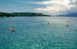 West Bali National Park Tour, Bali Sightseeing, West Bali National Park