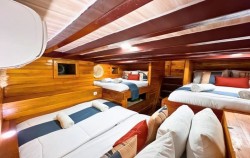 Komodo Private Trips by Abizar Liveaboard, Sharing Cabin