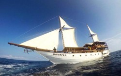 Adishree,Komodo Boats Charter,Private Trip by Adishree Deluxe Phinisi