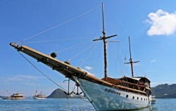 Private Trip by Adishree Deluxe Phinisi, Komodo Boats Charter, Adishree Phinisi