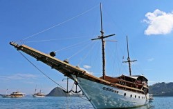 Adishree Phinisi,Komodo Boats Charter,Phinisi Boat Adishree