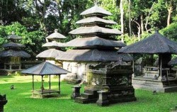 Alas Kedaton Temple,Bali Tour Packages,One Day Tour with Kecak Dance