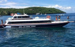 Angel Billabong Cruise,Nusa Penida Fast boats,Angel Billabong Fast Cruise
