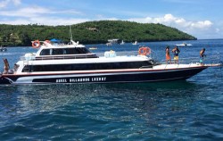 Angel Billabong Cruise image, Angel Billabong Fast Cruise, Nusa Penida Fast boats