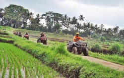  image, Bongkasa ATV Ride, Bali ATV Ride