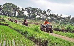 Bongkasa ATV Ride, 