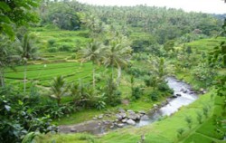 Ayung River,Bali Rafting,Mega Rafting Adventure