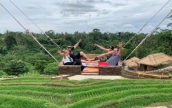  image, Aloha Ubud Swing, Fun Adventures