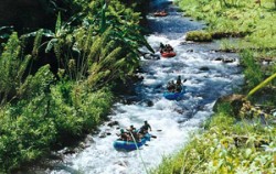 Bakas Levi Rafting, Bakas Levi Rafting