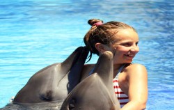 Bali Dolphin Marine Park, Dolphin Swim