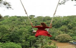 Bali Swing,Bali Tour Packages,Bali Double Packages