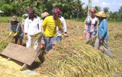 Ubud Bali Cycling, Bali Cycling, Local Farmer