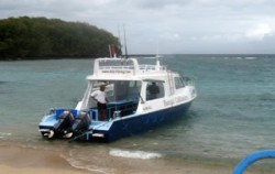 Bunga Caliandra Boat